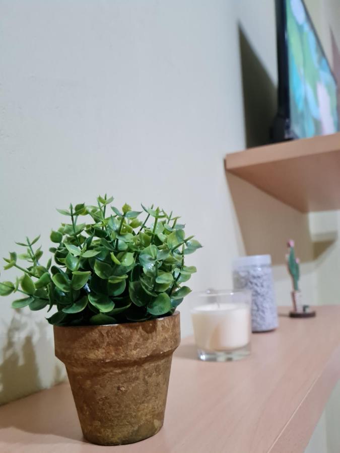 Ex-Block District Charming Studio Apartment With Treeish Sorrounding View! Tirana Eksteriør billede